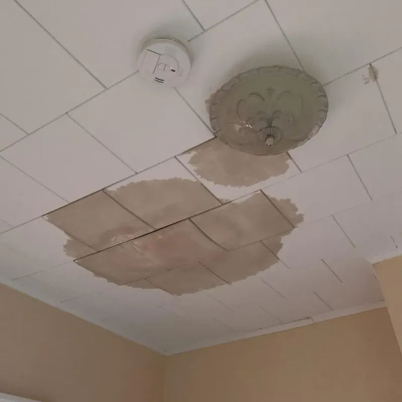 Ceiling Water Damage Repair in Blount County, TN