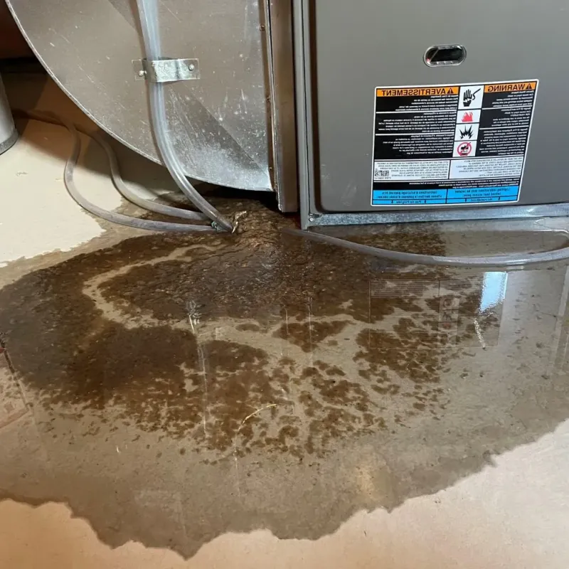 Pipe Burst and Leak Restoration in Blount County, TN