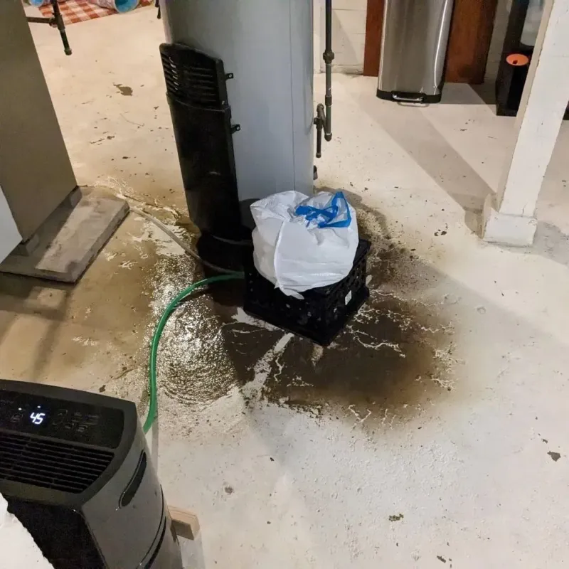 Sewage Backup Cleanup Service in Blount County, TN